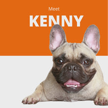 Load and play video in Gallery viewer, Clingers Basic Cling-rite Roll 4 Pack
